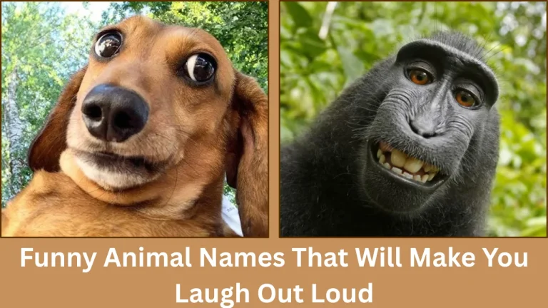 funny animal names