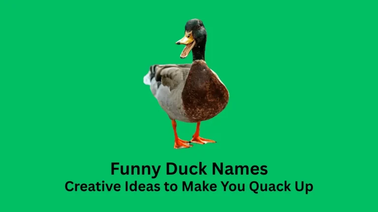 funny duck names